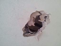 fkillineybeforeinternal 1050.jpg